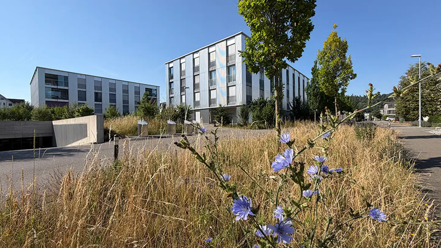 Penthouse kaufen - Jurastrasse 1, 5507 Mellingen