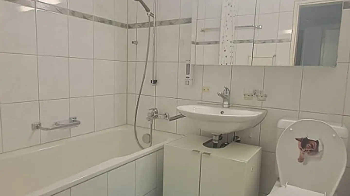 Appartamento in affitto - Spitzberglistrasse 4, 6048 Horw - Foto 3