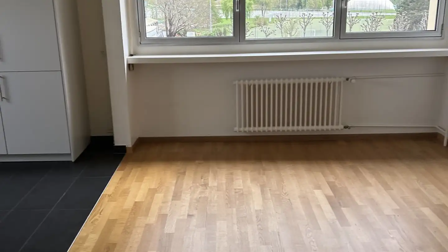 Wohnung mieten - 1227 Carouge GE