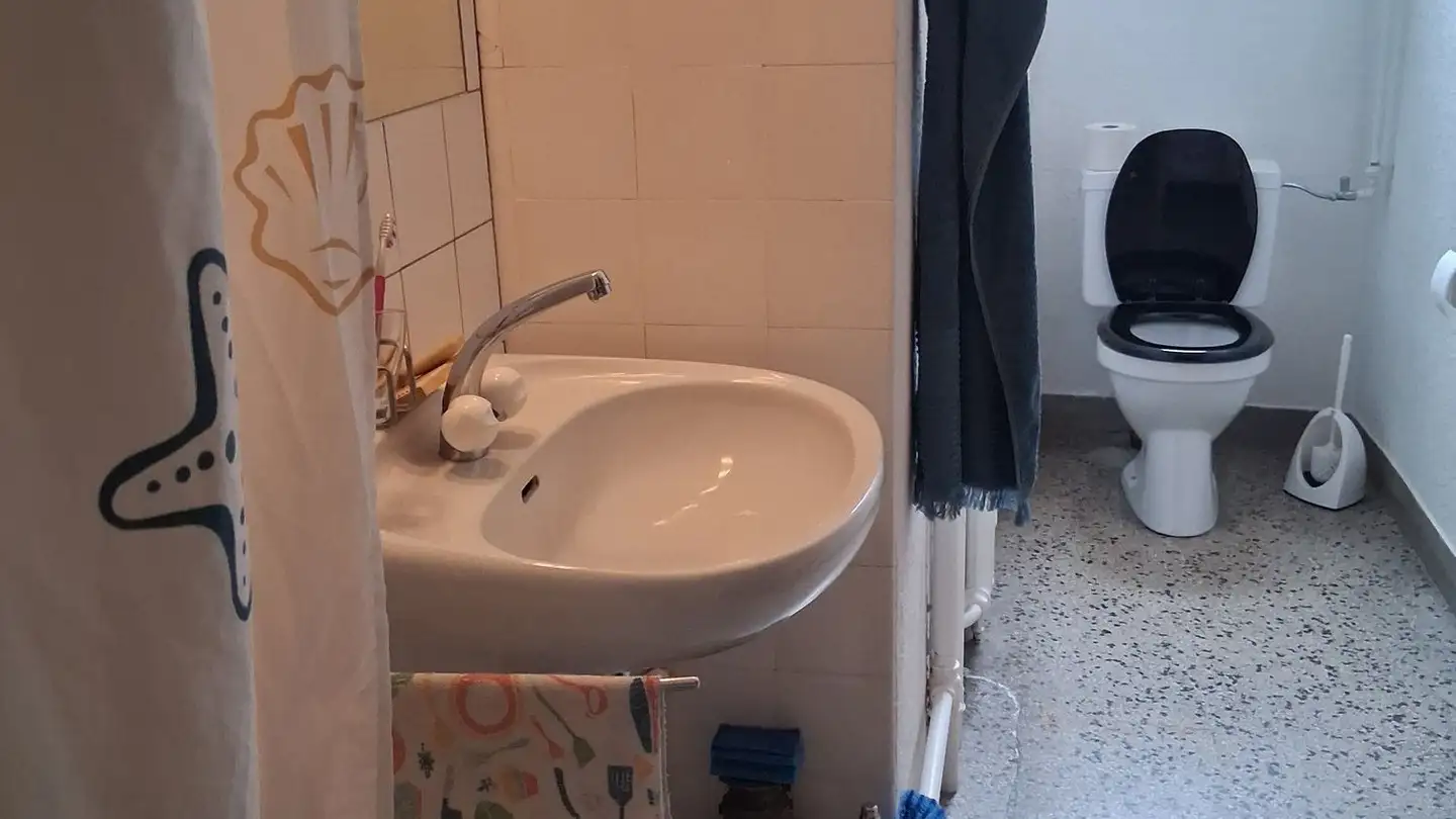 Wohnung mieten - Freyastrasse 6, 8004 Zürich - Foto 2