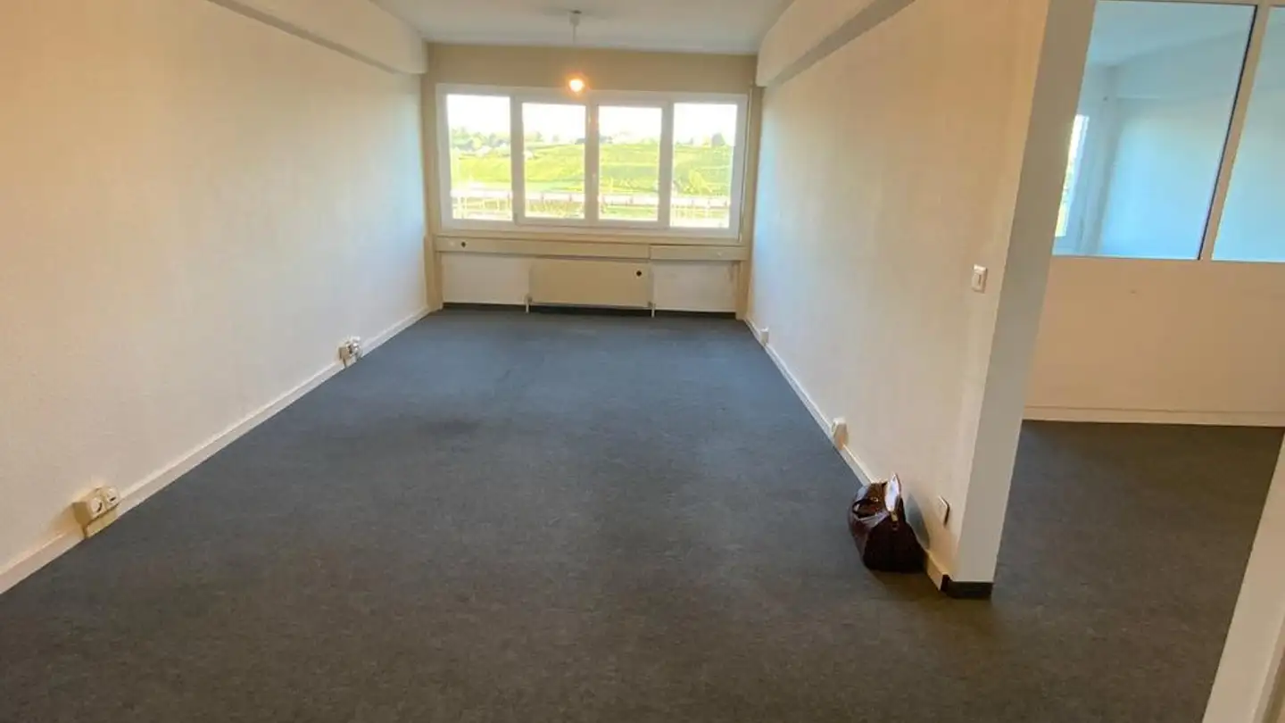Commercial for rent - Route De Préverenges 4, 1026 Denges