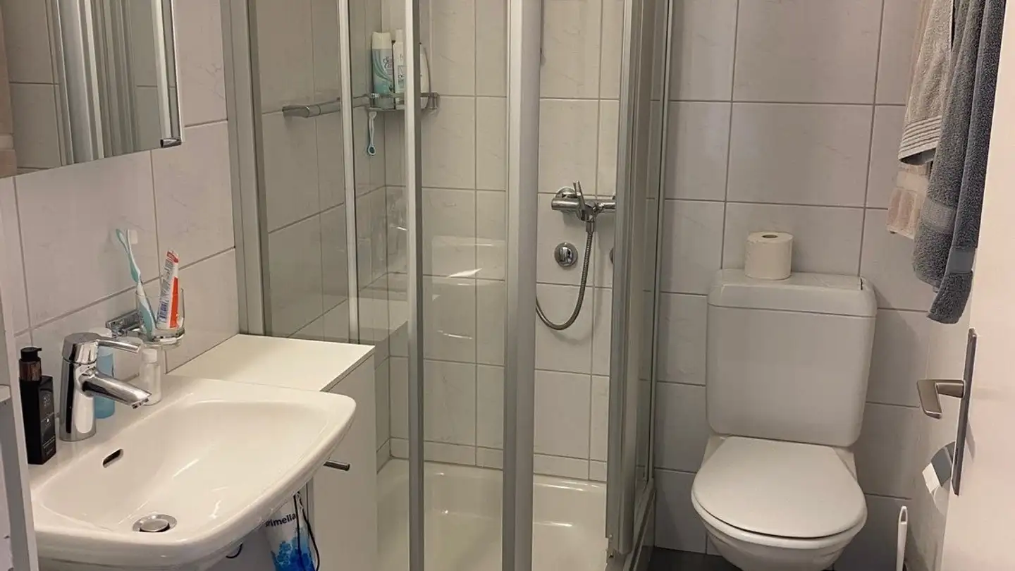 Appartamento in affitto - Dufourstrasse 161, 8008 Zürich - Foto 4