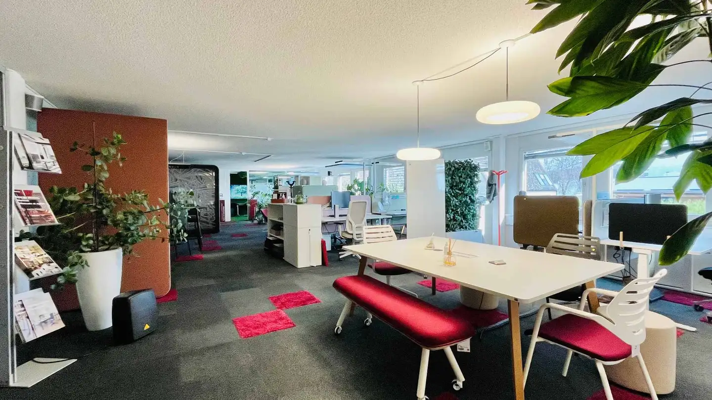 Commercial for rent - 1018 Lausanne - Photo 2