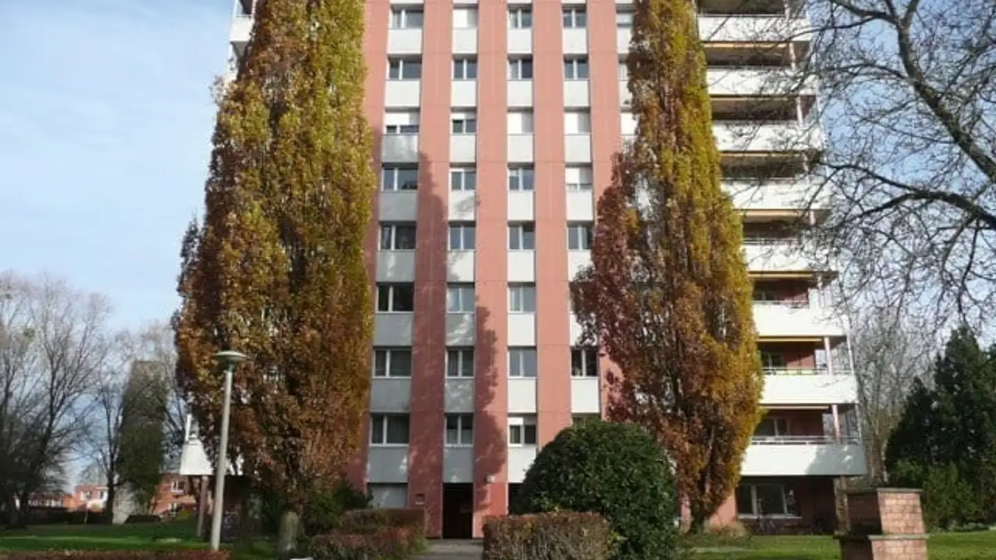 Apartment for rent - Holeeholzweg 75, 4102 Binningen