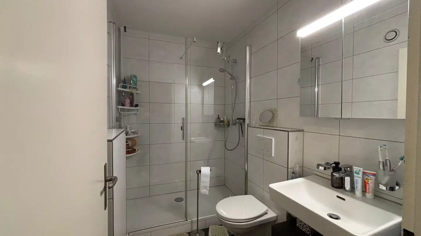 Appartamento in affitto - Holeeholzweg 75, 4102 Binningen - Foto 2
