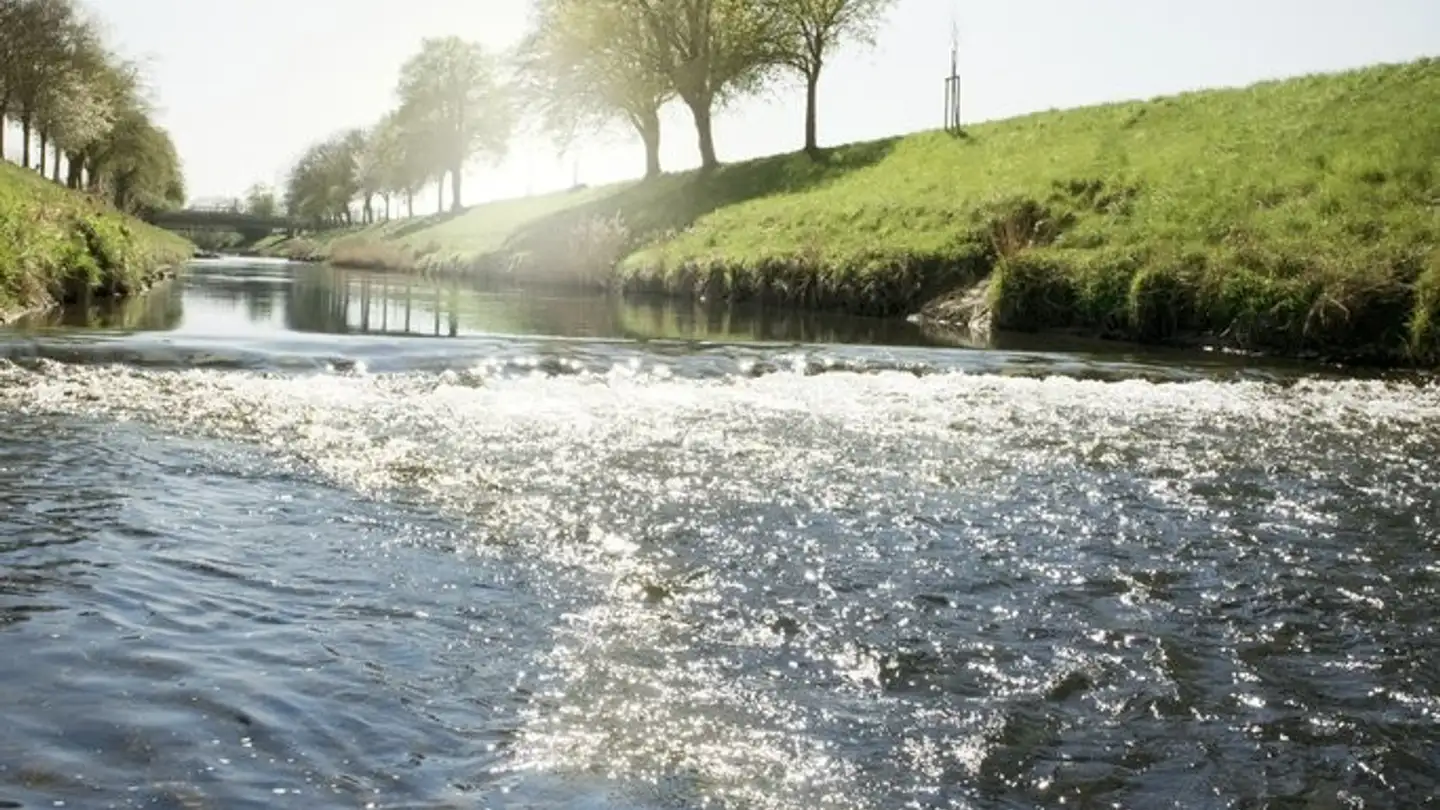 Apartment for rent - Rives De La Broye 1, 1530 Payerne - Photo 3