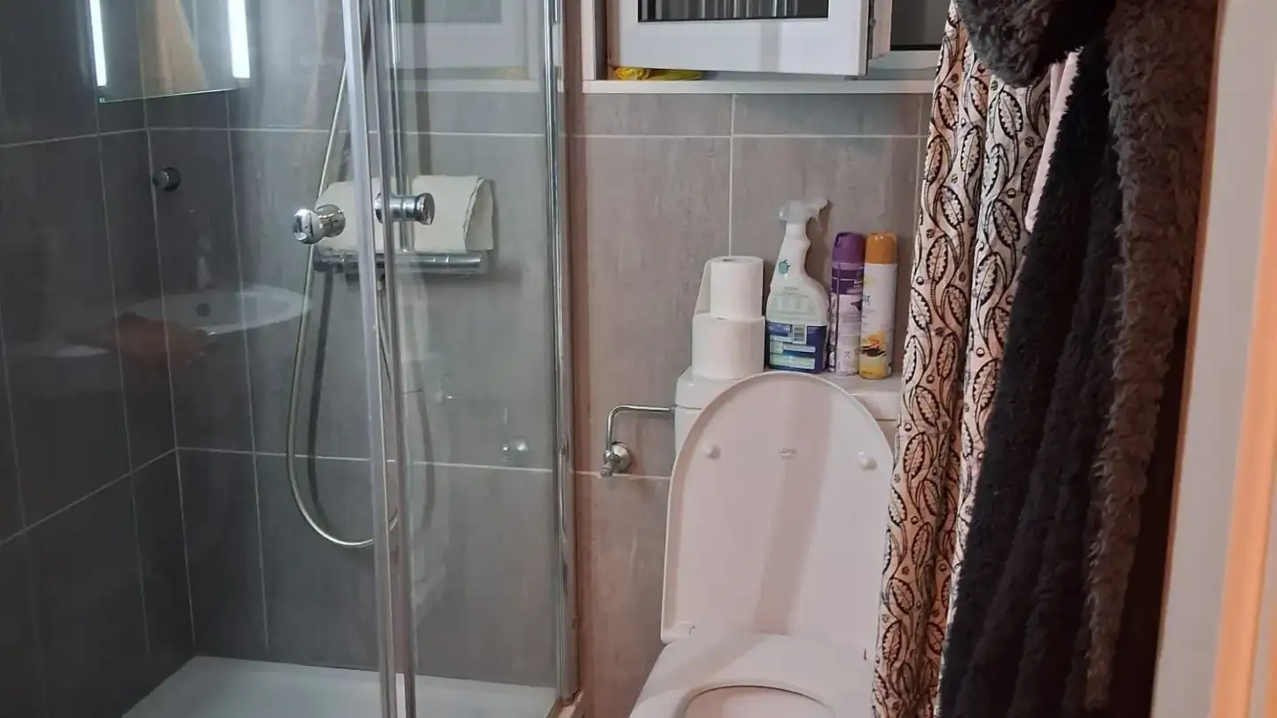 Appartement à louer - Chemin Du Grand-Pré 2, 1052 Le Mont-sur-Lausanne - Photo 3