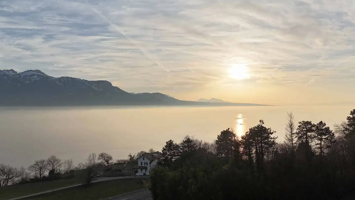 Appartamento in vendita - 1071 Chexbres