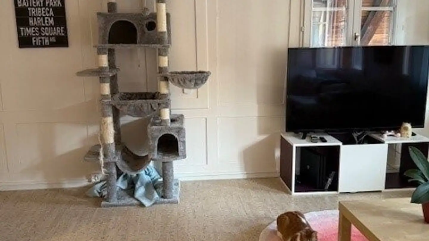 Appartamento in affitto - Gerbestrasse 9, 3550 Langnau im Emmental - Photo 4