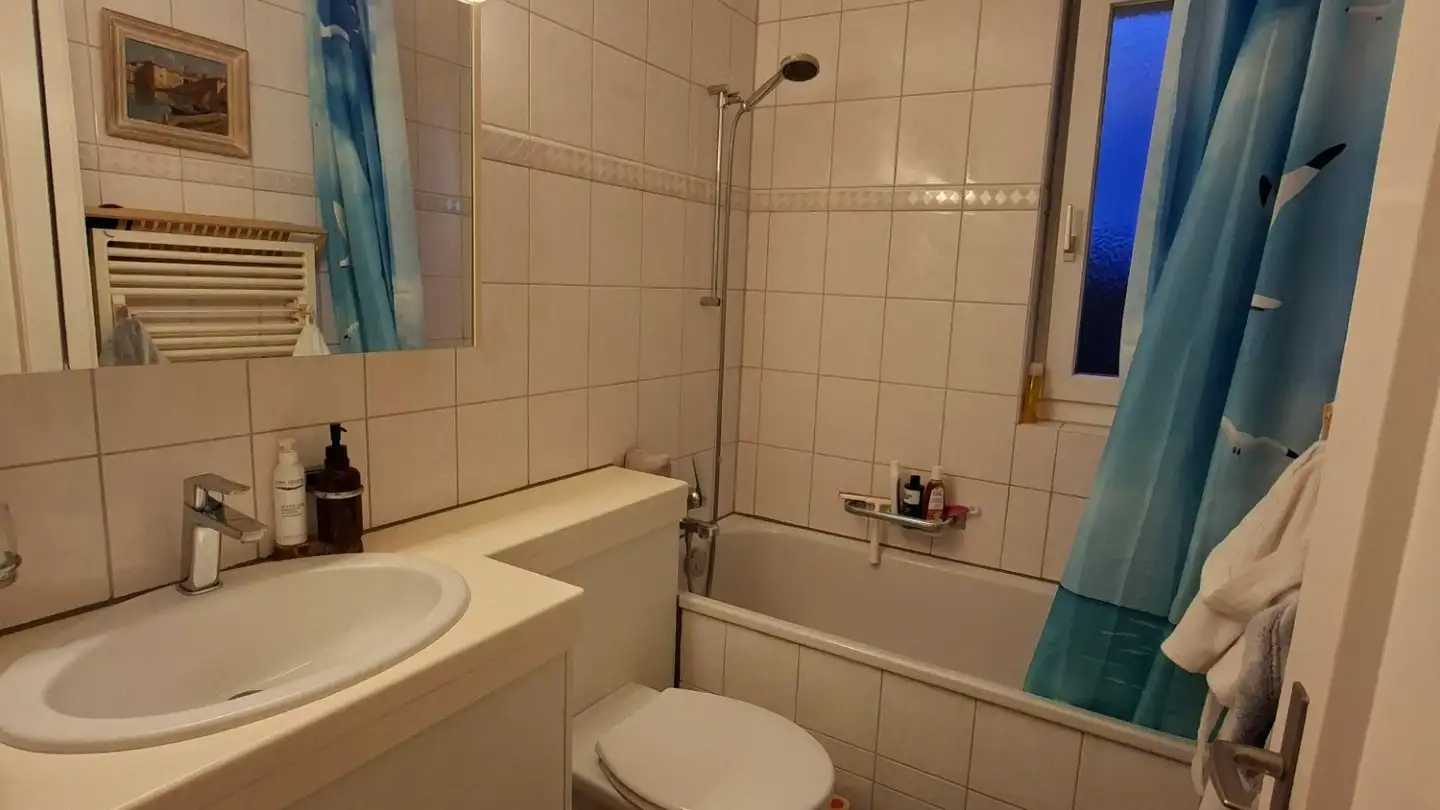 Chambre à louer - Hotzestrasse, 8805 Richterswil - Photo 4