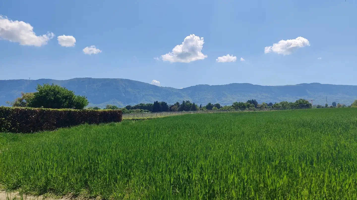 Villa in vendita - Route Du Grand-Lancy, 1212 Grand-Lancy