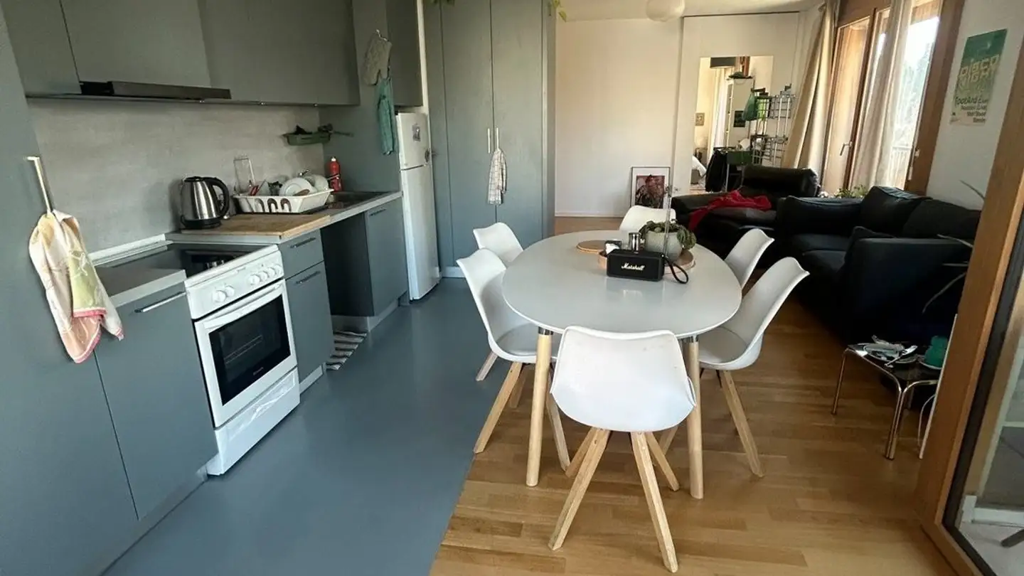 Single room for rent - Avenue De La Gare-Des-Eaux-Vives 27, 1207 Genève - Photo 4