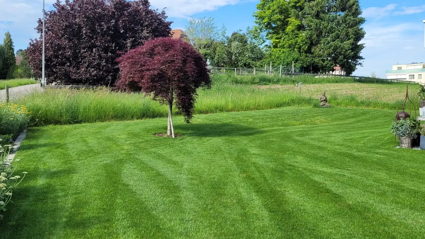 Appartement à louer - Zihlstrasse 2b, 5712 Beinwil am See - Photo 4