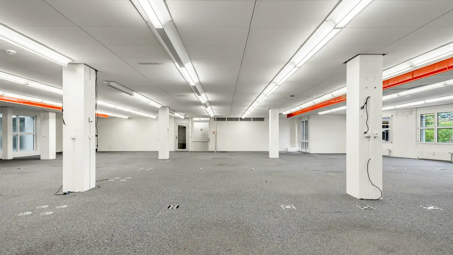 Shop for rent - Chemin De-La-Montagne 136, 1224 Chêne-Bougeries - Photo 4