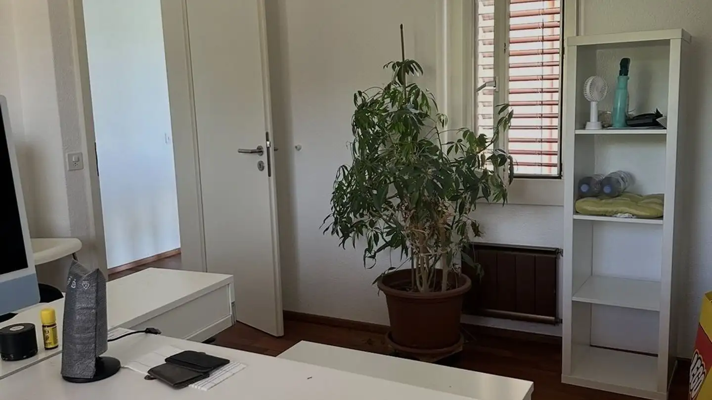 Apartment for rent - Sternenstrasse 28E, 8903 Birmensdorf ZH - Photo 4