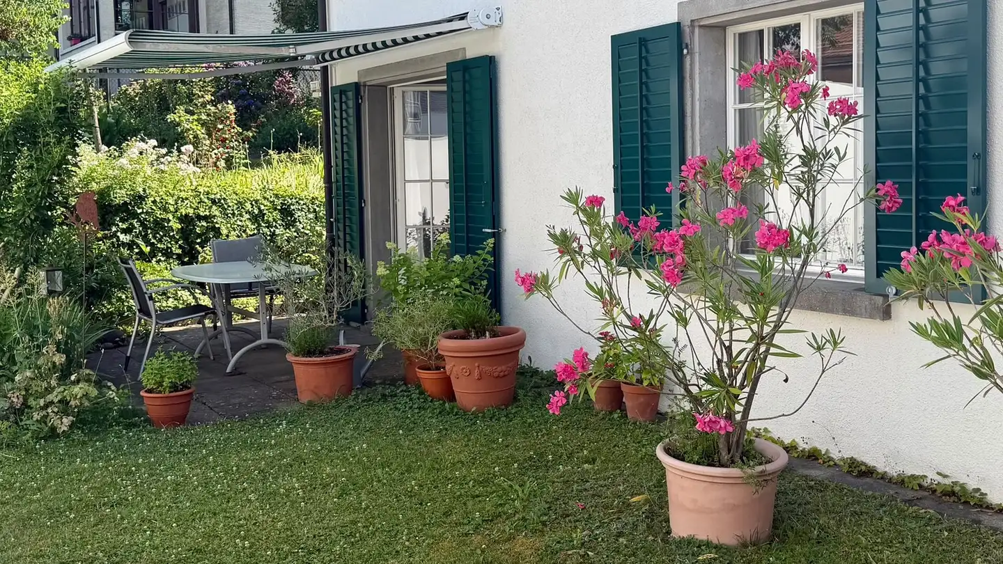 Appartement à louer - 8800 Thalwil - Photo 2