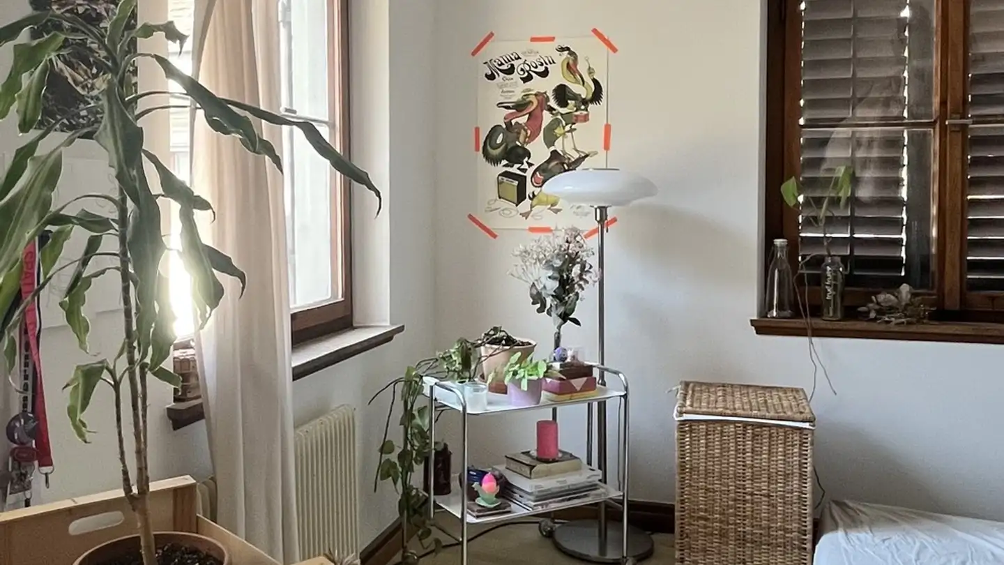 Apartment for rent - Neustadt 68, 8200 Schaffhausen - Photo 3
