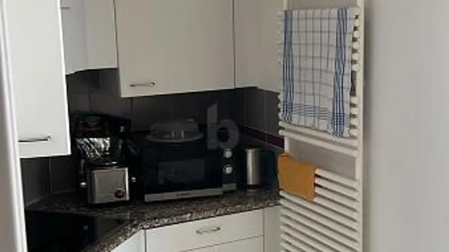 Appartement à louer - 8052 Zürich - Photo 4