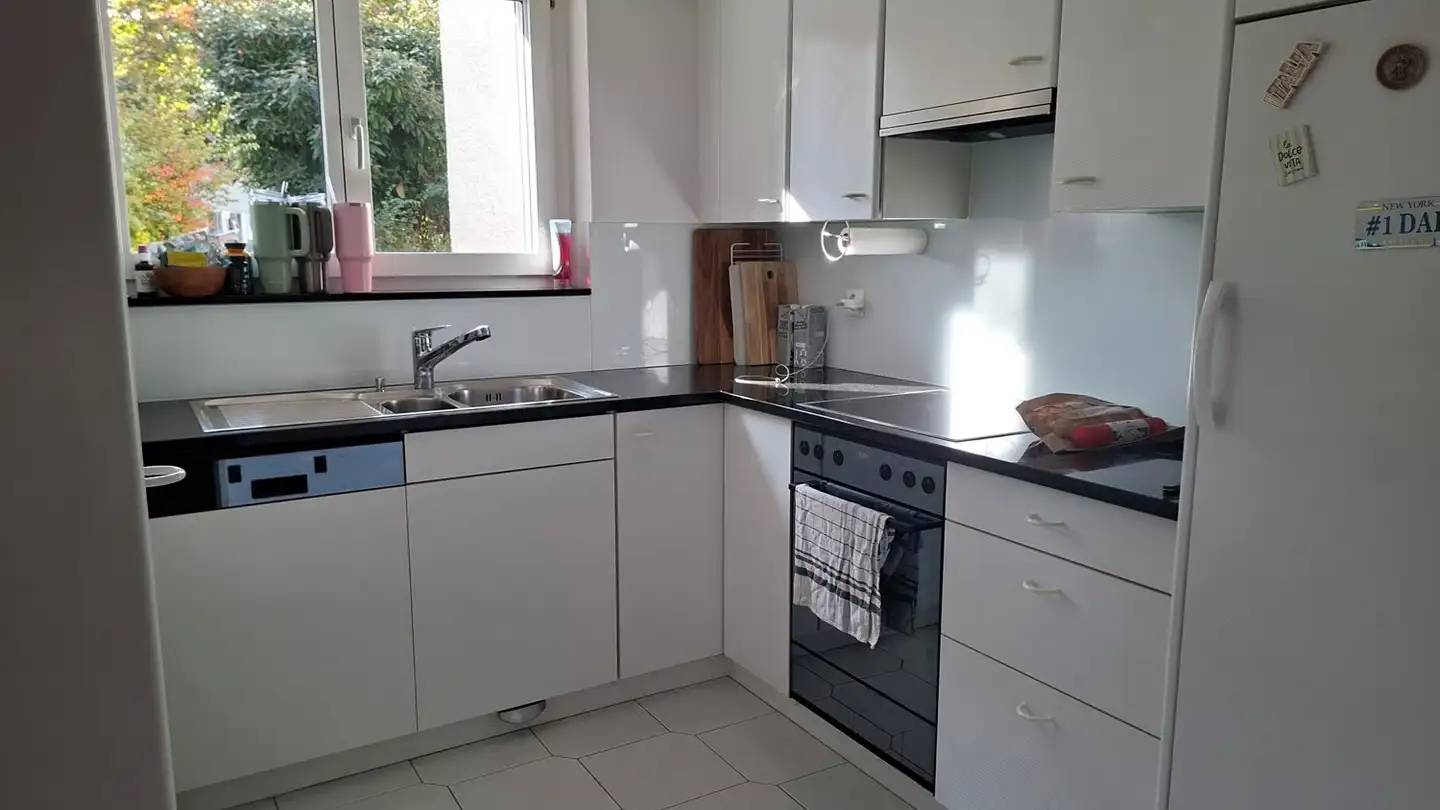 Appartamento in affitto - Mittlere Mühlestrasse 4, 8598 Bottighofen - Foto 2