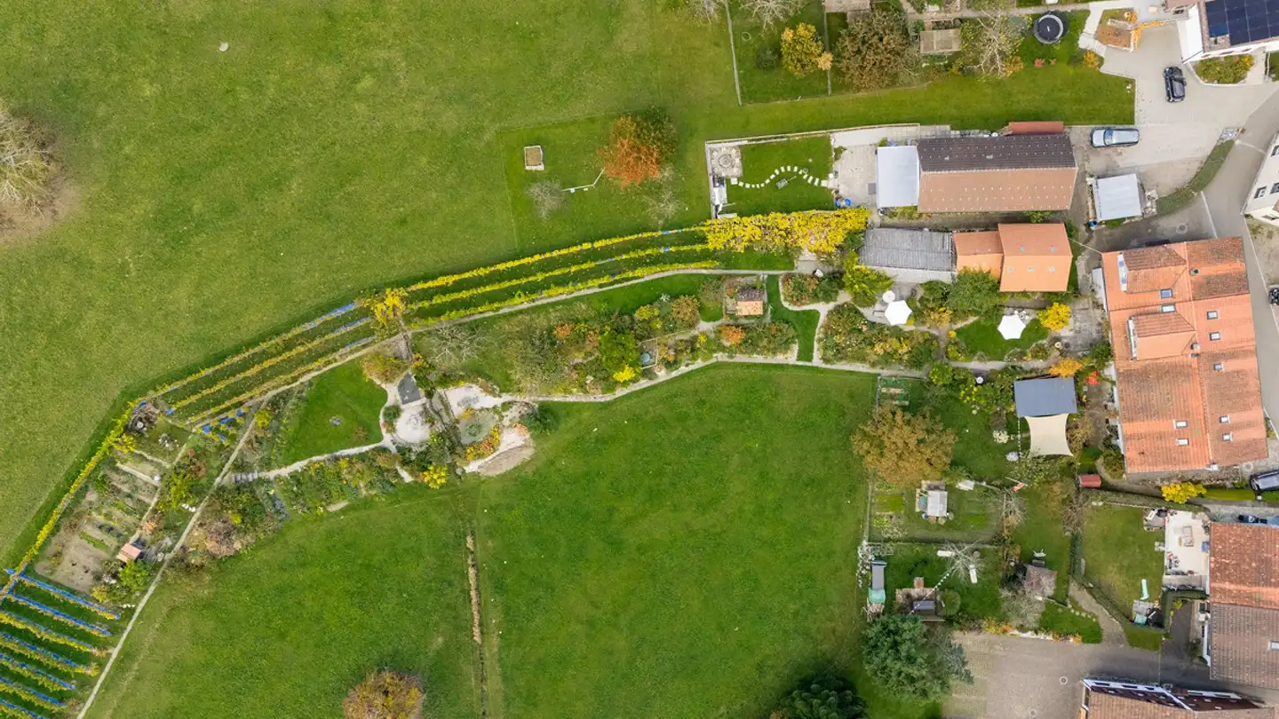 Terrain constructible à vendre - 8344 Bäretswil