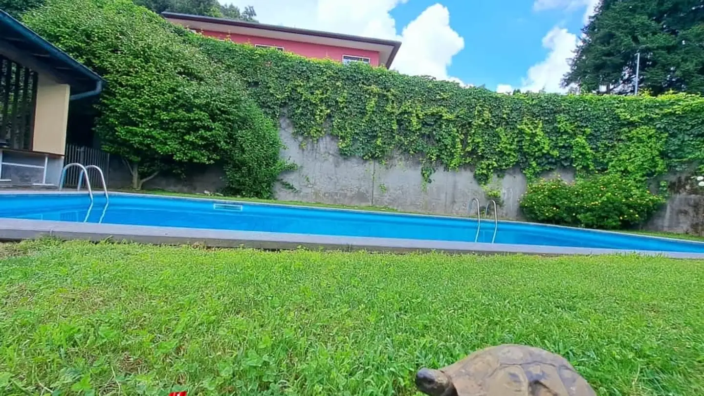 Appartamento in vendita - Via Ernest Bloch 29, 6956 Lopagno - Photo 4