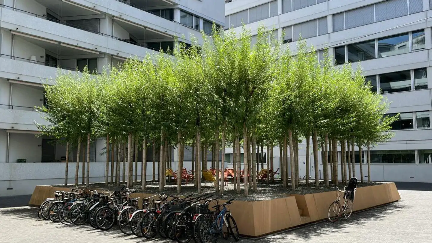 Appartamento in vendita - Förrlibuckstrasse 227, 8005 Zürich - Foto 2