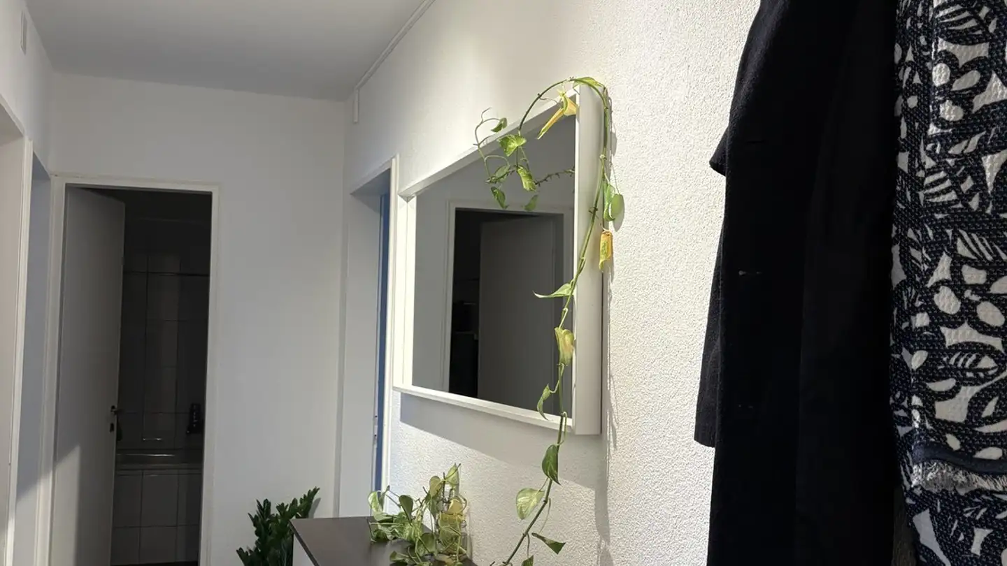 Single room for rent - Hungerbergstrasse 39, 8046 Zürich - Photo 3