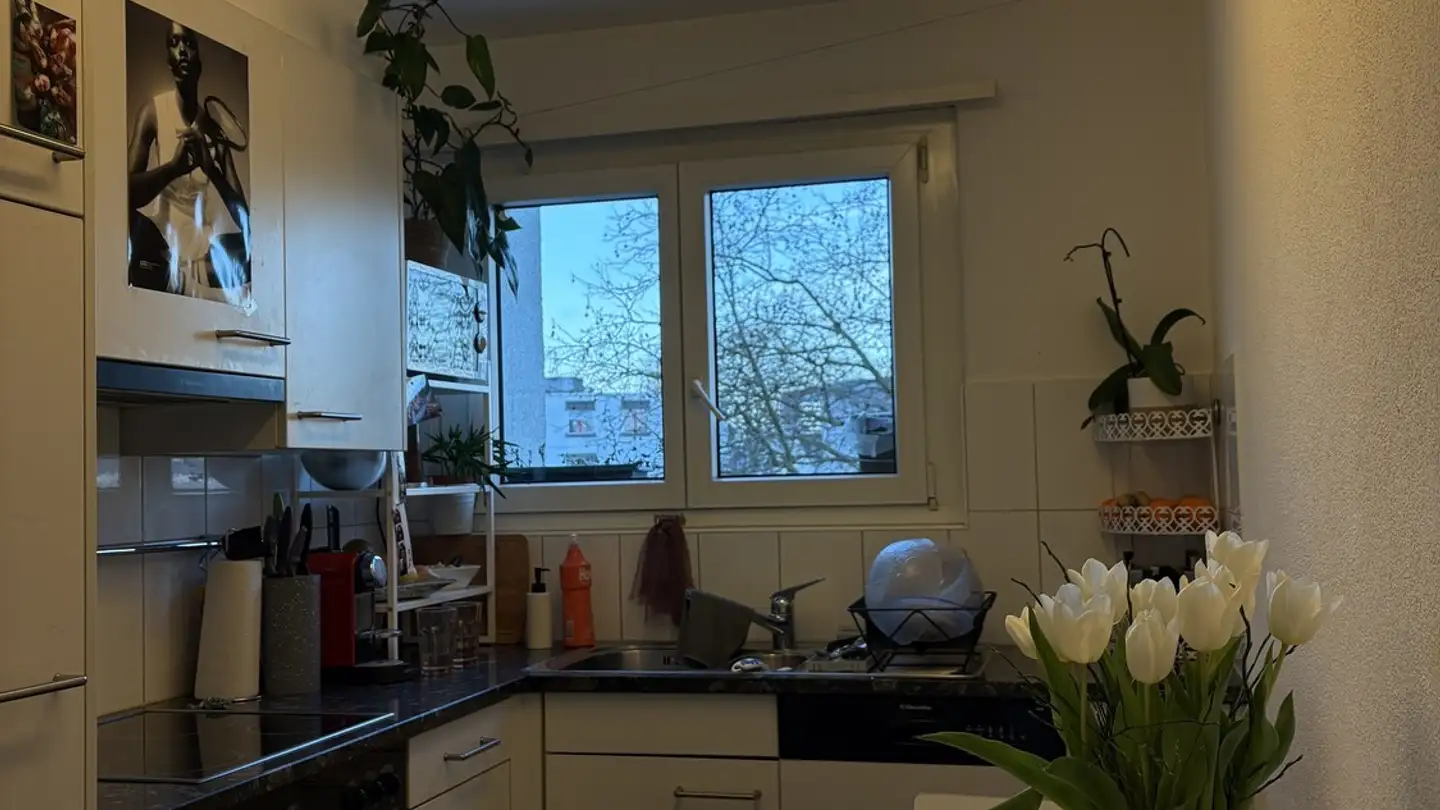 Single room for rent - Hungerbergstrasse 39, 8046 Zürich - Photo 4