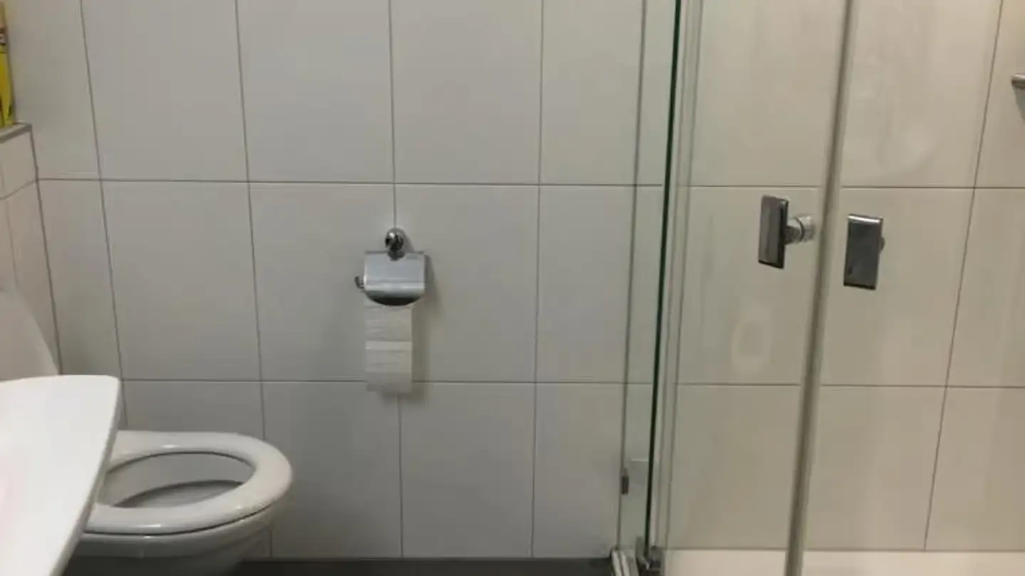 Wohnung mieten - Knonauerstrasse, 6330 Cham - Foto 4