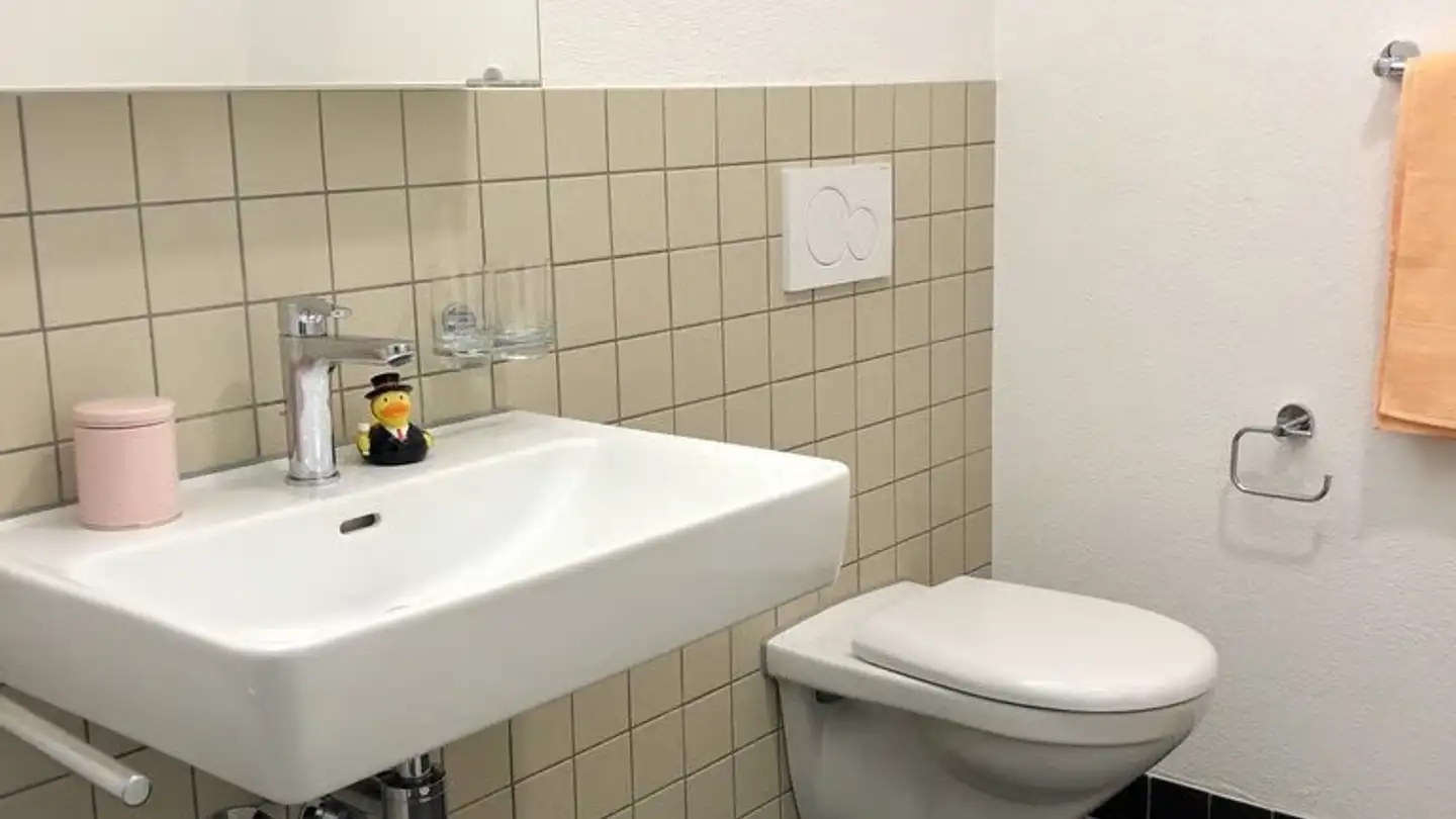 Appartement à louer - Niederbürerstrasse 40, 9220 Bischofszell - Photo 3
