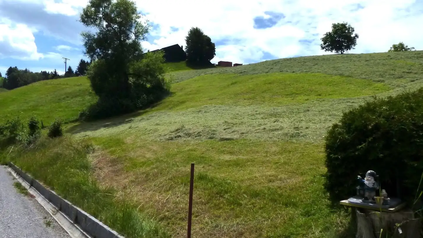 Constructible plot for sale - Hinterbissaustrasse, 9410 Heiden - Photo 4