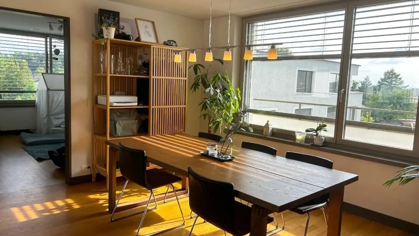 Appartamento in affitto - 8915 Hausen am Albis