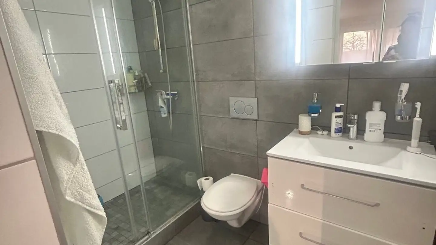 Apartment for rent - Chemin Des Marionnettes, 1093 La Conversion