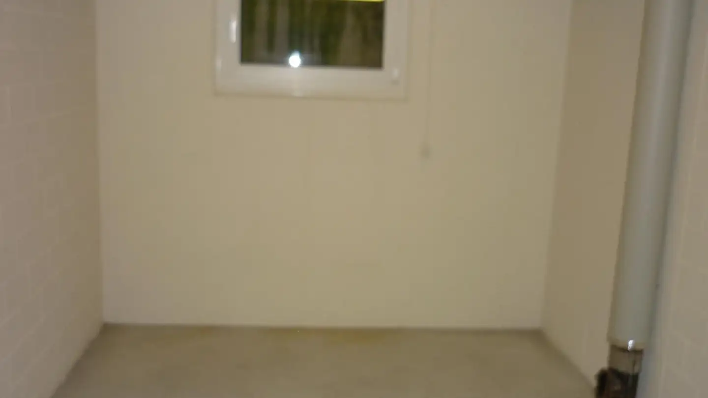 Lagerraum mieten - Amselweg 15, 4153 Reinach BL - Foto 3