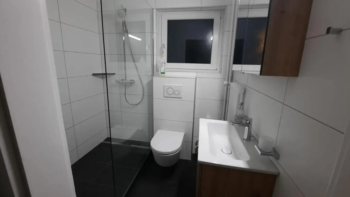 Residential building for sale - Chemin Des Pêcheurs 10, 2535 Frinvillier - Photo 3