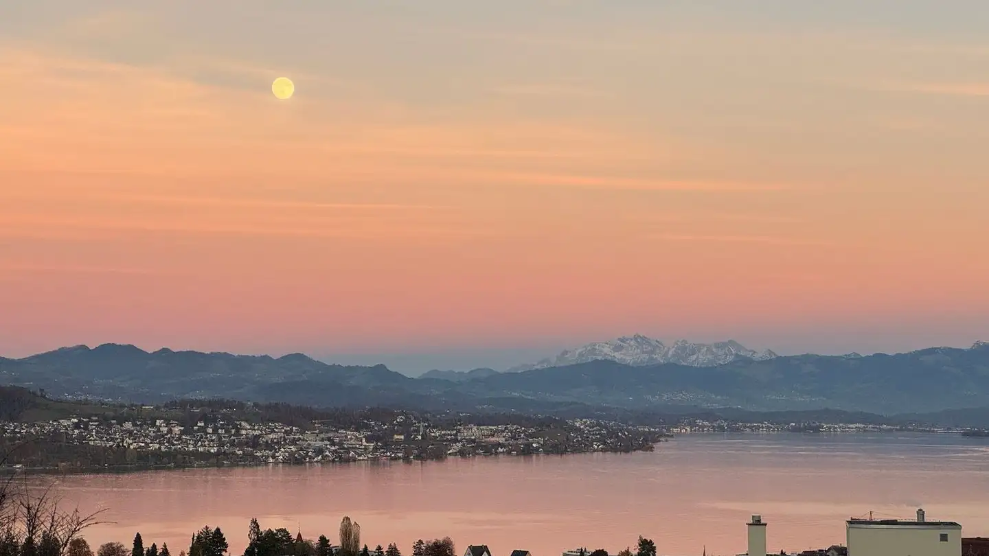 Stepped apartment for sale - Pfannenstilstrasse, 8820 Wädenswil