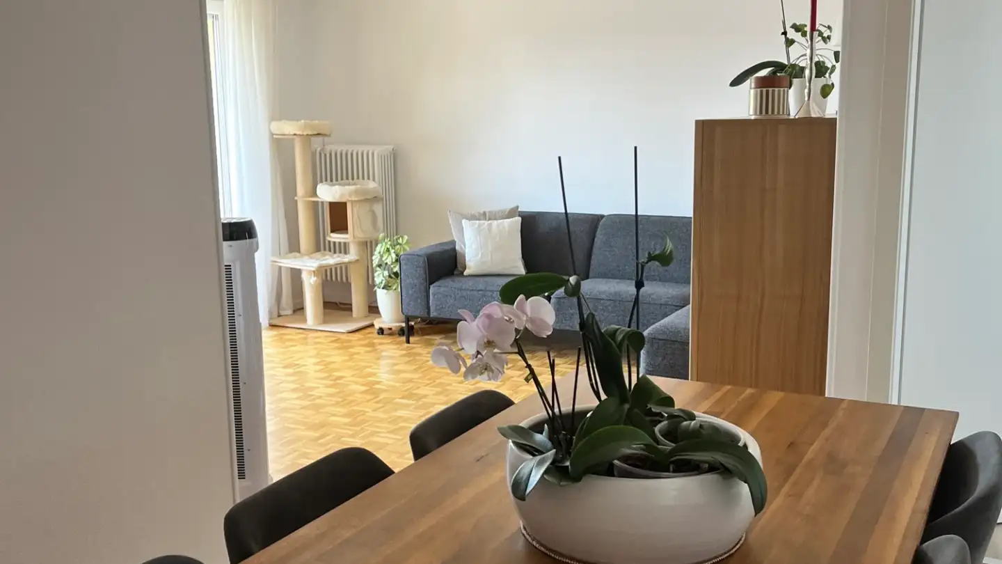 Apartment for rent - Rue D'yverdon 47, 1530 Payerne - Photo 3