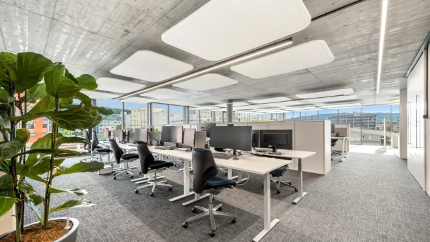 Spazio ufficio in affitto - Wiesenstrasse 19, 8952 Schlieren