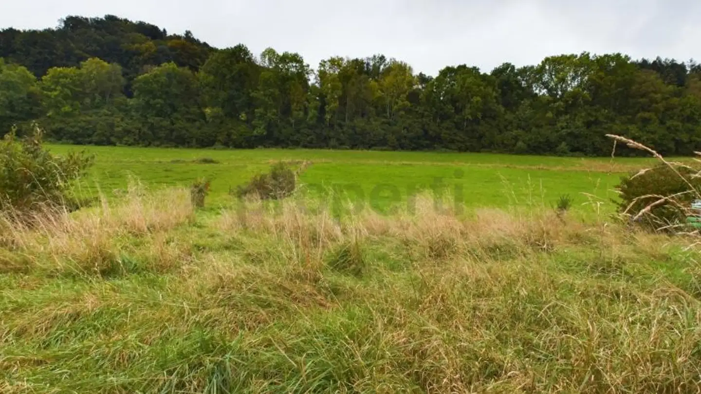 Constructible plot for sale - 3475 Riedtwil - Photo 4