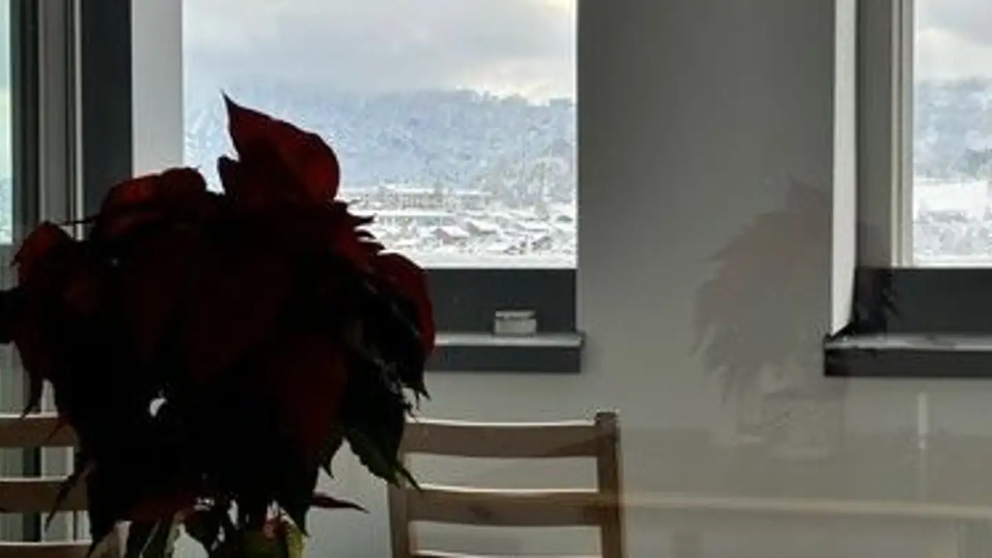 Wohnung mieten - Am Mattenhof 14, 6010 Kriens