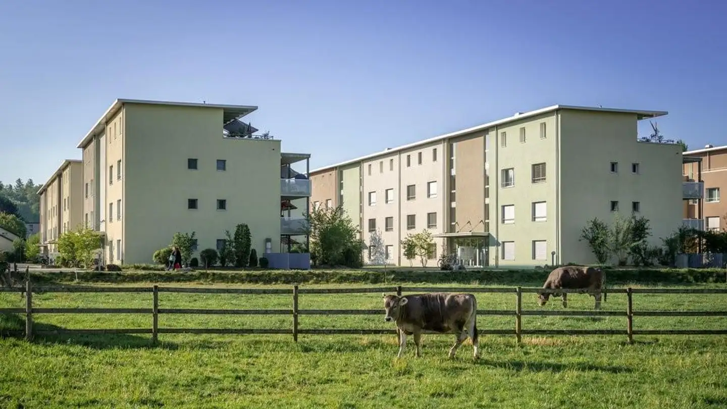 Appartamento in affitto - Lenzburgerstrasse 82, 5033 Buchs AG - Foto 2