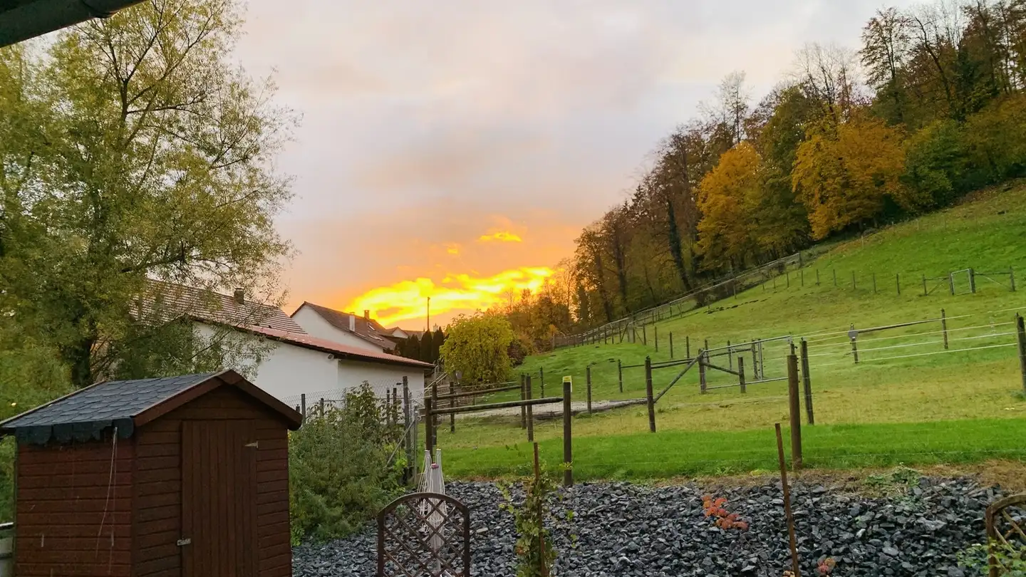 Zimmer mieten - 5074 Eiken - Foto 3