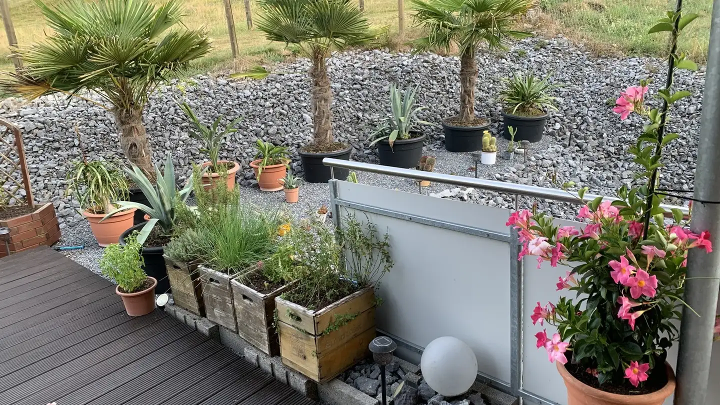 Zimmer mieten - 5074 Eiken - Foto 4