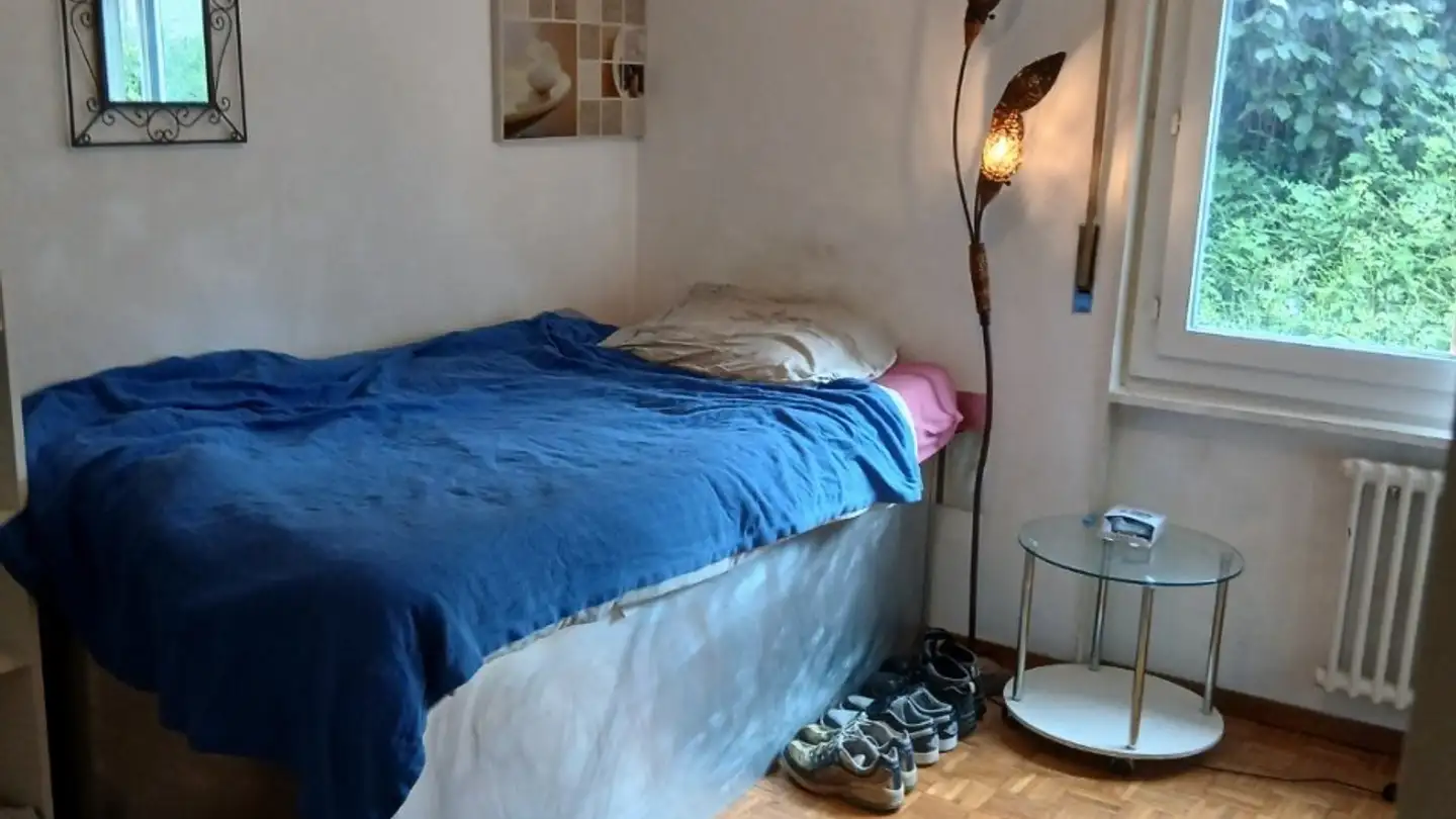 Appartamento in affitto - Chemin De La Vuachère 30, 1009 Pully - Photo 4