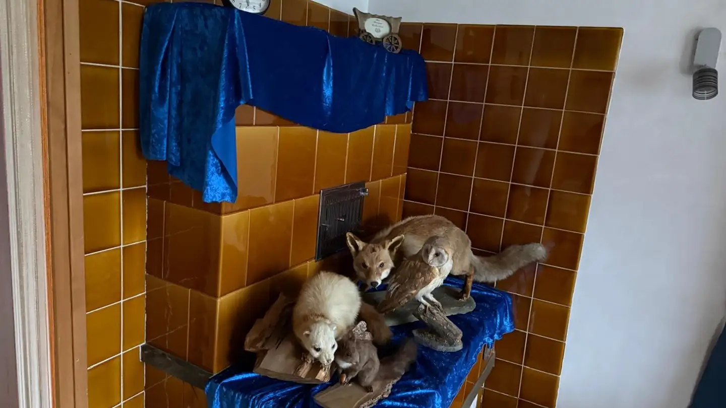 Einfamilienhaus kaufen - 4917 Melchnau - Foto 3