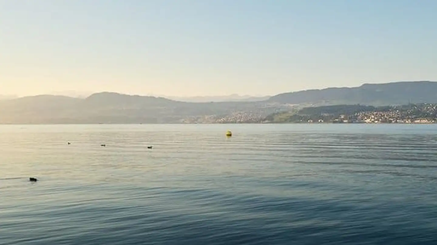 Single house for sale - 8707 Uetikon am See