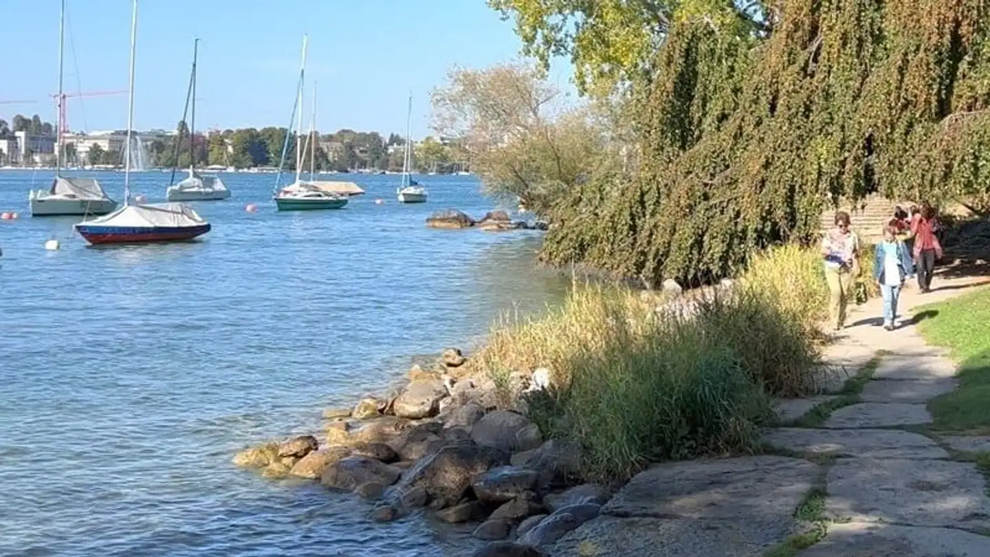 Single house for sale - 8707 Uetikon am See - Photo 2