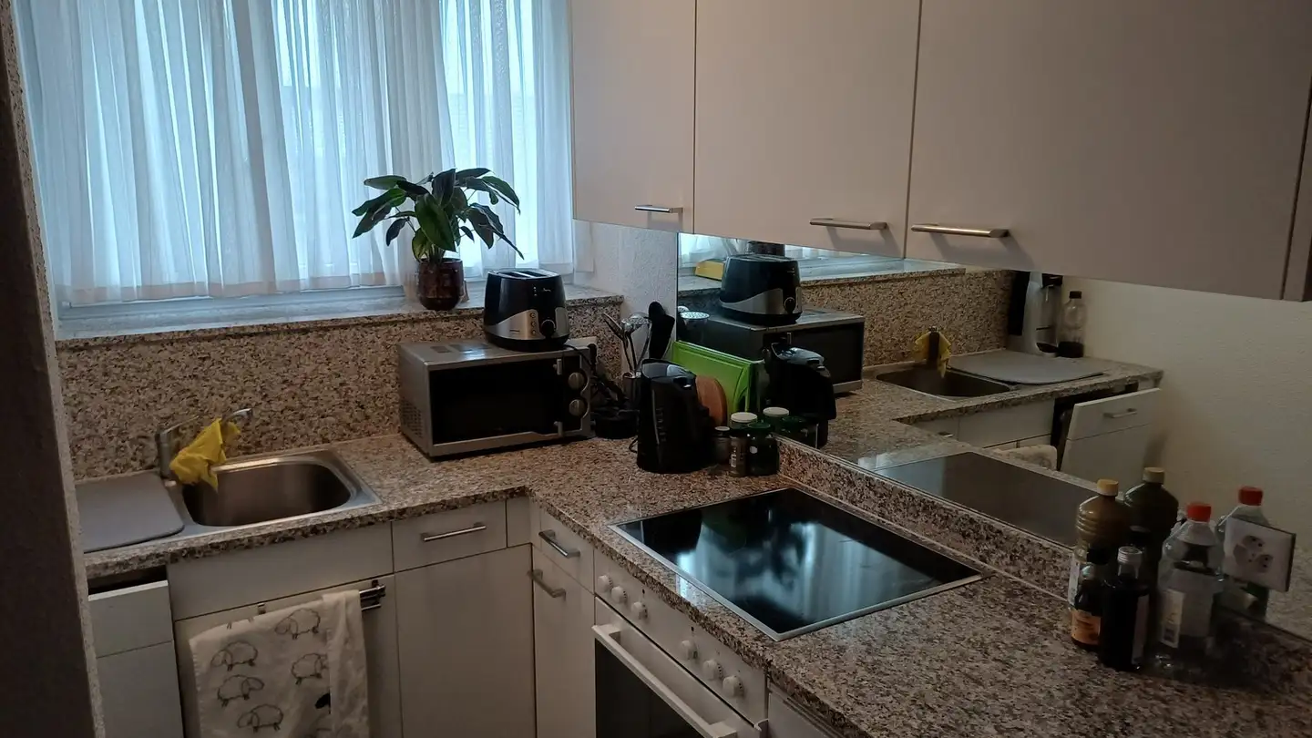 Wohnung mieten - Albisstrasse 120, 8134 Adliswil - Foto 3