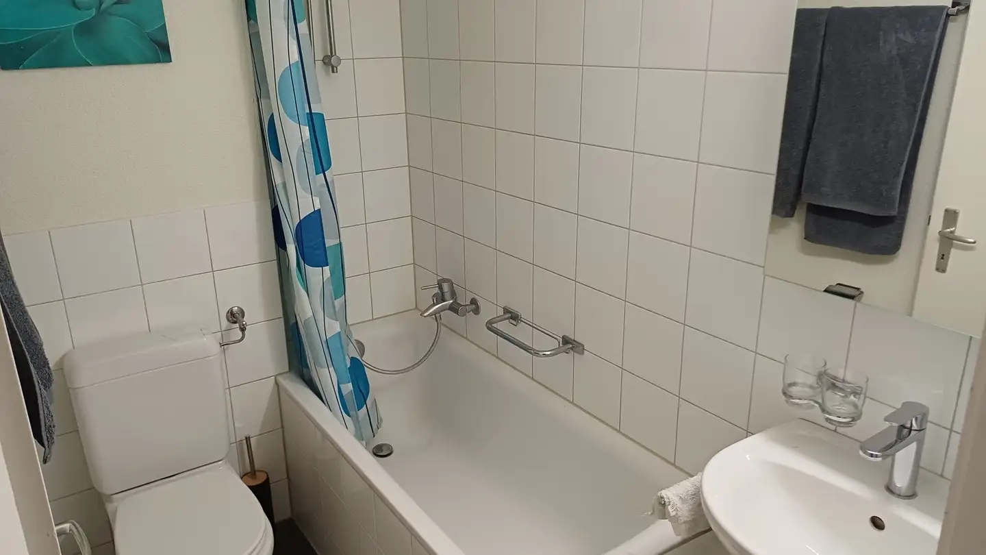 Wohnung mieten - Albisstrasse 120, 8134 Adliswil - Foto 4