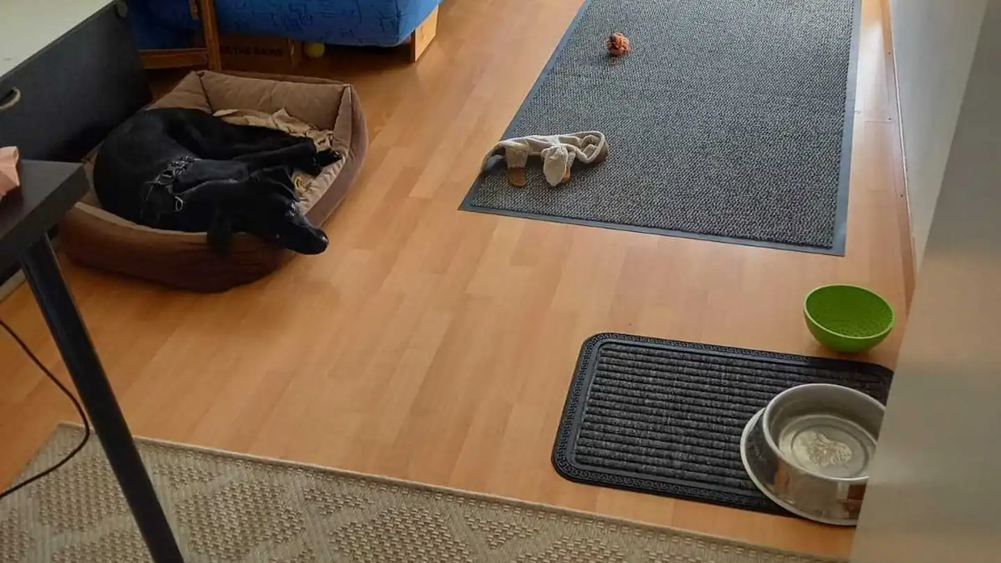 Apartment for rent - Champs-Baccons 1A, 1580 Avenches - Photo 3